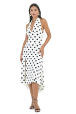 Load image into Gallery viewer, Polka Dot Halter Neck Tango Dress