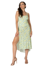 Load image into Gallery viewer, Retro Tropical Tango Dress With Tail
