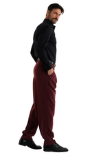 Load image into Gallery viewer, Striped Burgundy Men's Tango Pants With Three Pleats