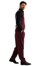 Load image into Gallery viewer, Striped Burgundy Men's Tango Pants With Three Pleats