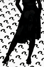 Load image into Gallery viewer, Mystery Tango Skirt | A Stylish Surprise!