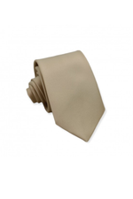 Load image into Gallery viewer, Champagne Men's Satin Necktie