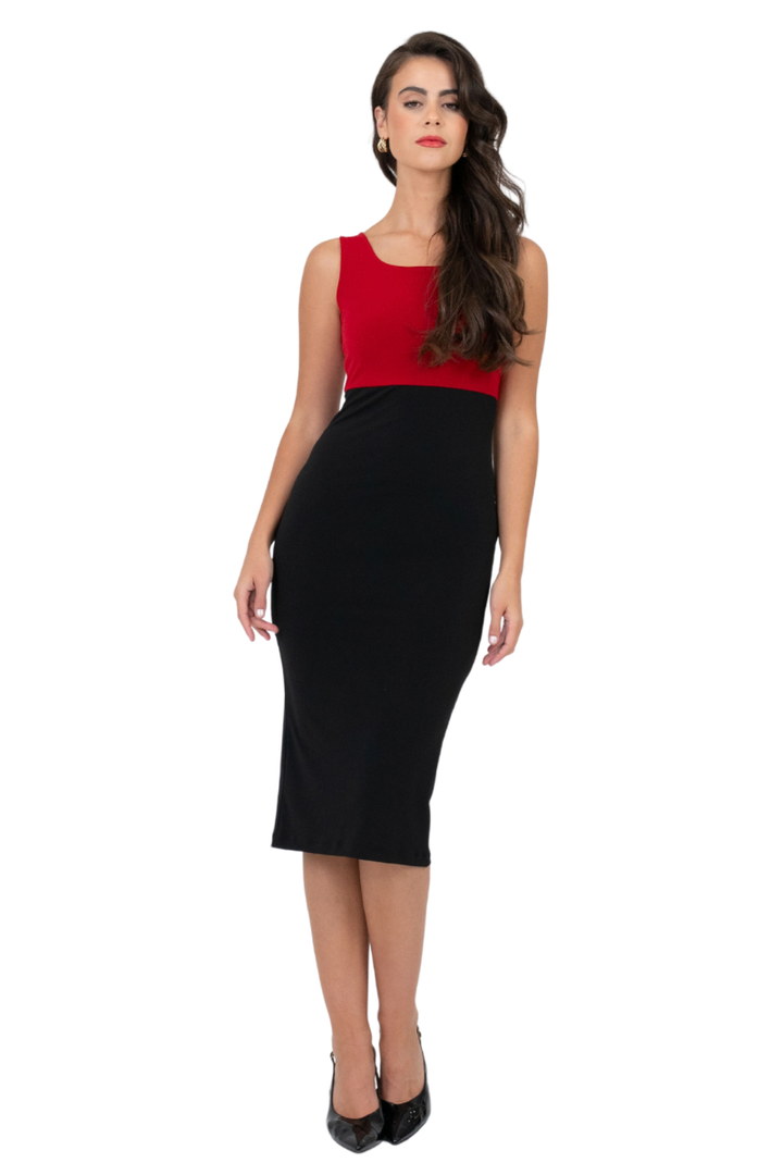 Red & Black Fitted Two Color Dress