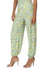 Load image into Gallery viewer, Retro Tropical Print Babucha Tango Pants
