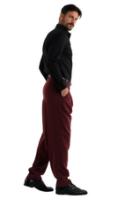 Load image into Gallery viewer, Striped Burgundy Men&#39;s Tango Pants With Three Pleats
