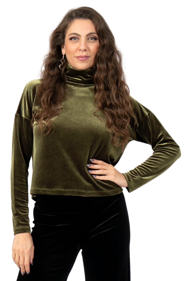 Turtleneck Velvet Long Sleeve Top