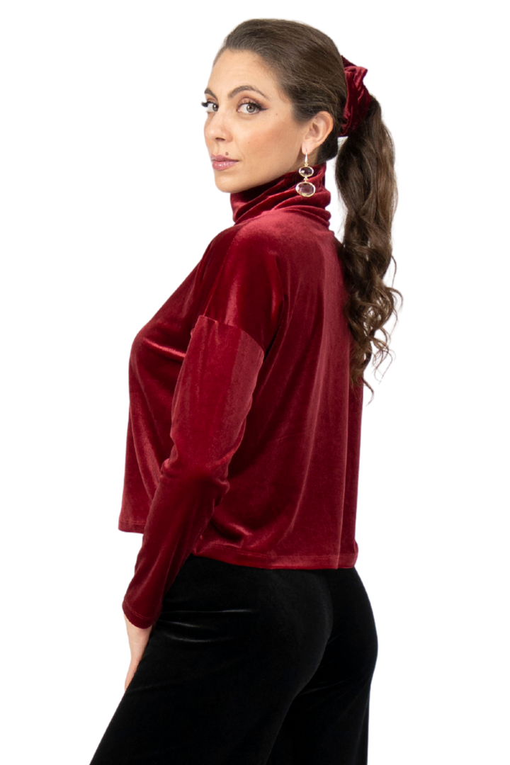 Turtleneck Velvet Long Sleeve Top