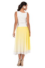 Load image into Gallery viewer, Gradient Two-layer Georgette Skirt
