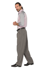 Load image into Gallery viewer, Light Grey Striped Tango Pants With Four Pleats